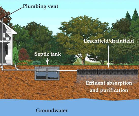 septic infographic